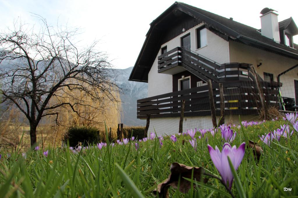 Apartments Tatjana โบเว็ก ภายนอก รูปภาพ